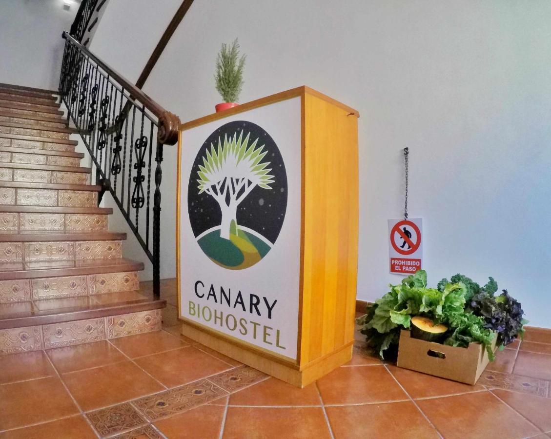 Canary Bio Hostel Tenerife ลอส เรอาเลคอส ภายนอก รูปภาพ