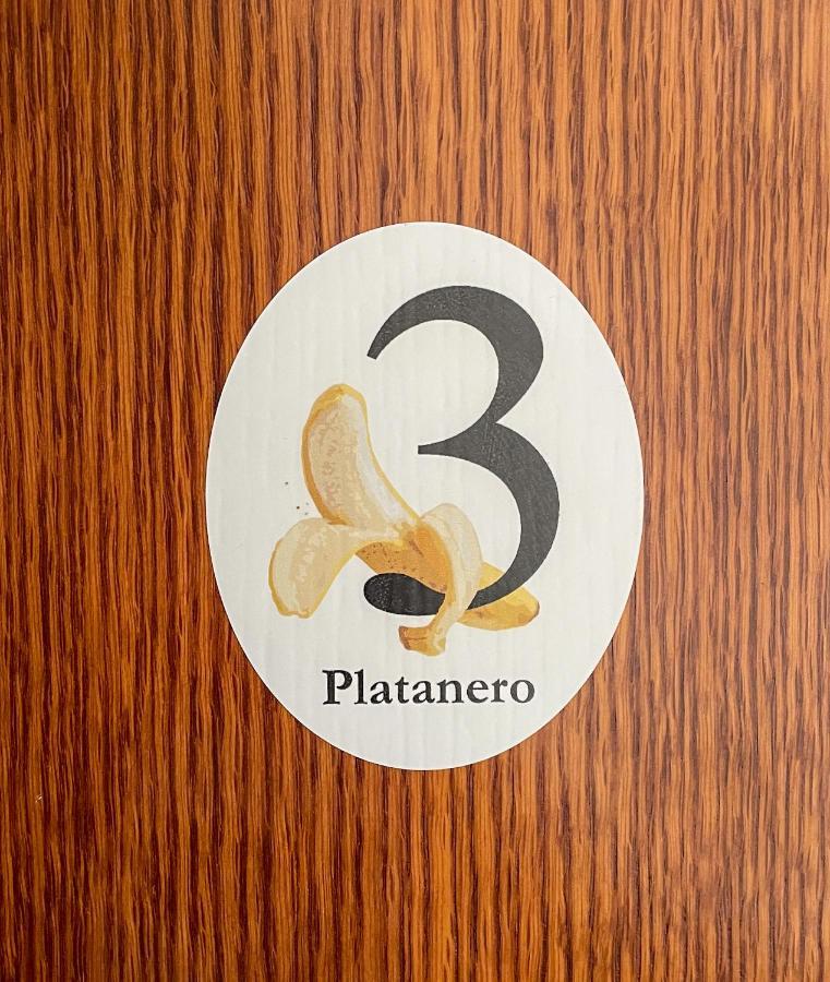 Canary Bio Hostel Tenerife ลอส เรอาเลคอส ภายนอก รูปภาพ